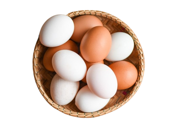 eggs